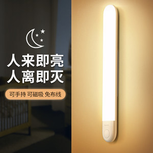 植物小夜灯选购指南 智能新品价格与功能解析